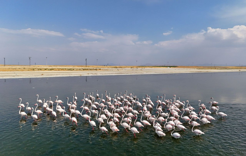 Bitlis göl kıyısında renkli manzara, Süphan Dağı eşliğinde görüntüler büyüledi - Resim: 1