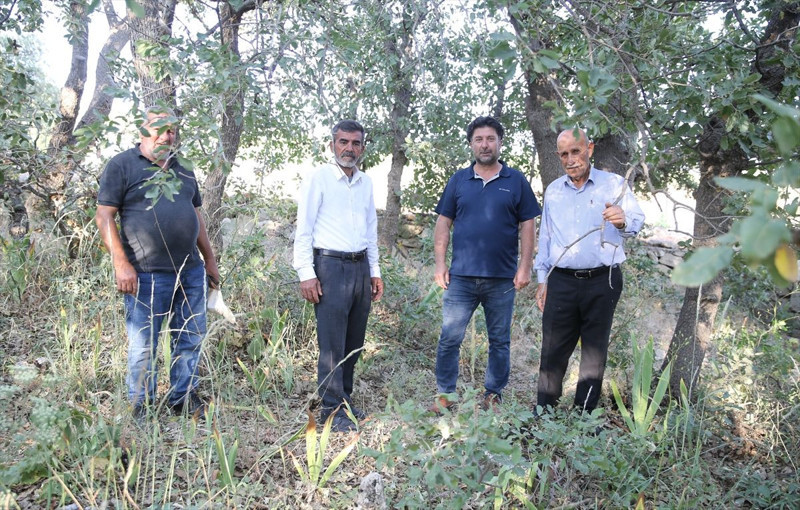 Siirt'te mezarlıkta ortaya çıktı! Koparan yandı: 557 bin TL cezası, köylüler nöbete geçti - Resim: 1