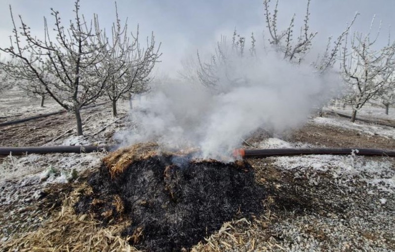 Karaman'da doğada tam 16.000.000 tanesini teker teker vurdu! Türkiye için resmen felaket haberi Karaman'dan geldi! Bir sabah kalkınca gördüler - Resim: 3