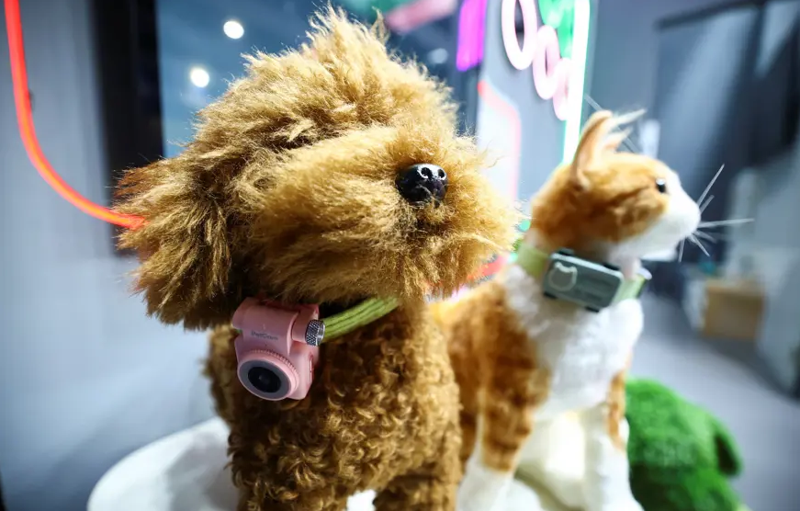 Evcil hayvan sahiplerine müjde! Can dostlar için akıllı telefonlar geliyor - Resim: 2