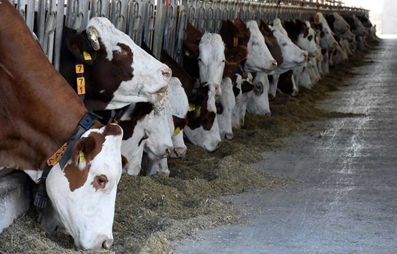 Konya'da 19 ilçede su kısıtı uygulaması - Resim: 1