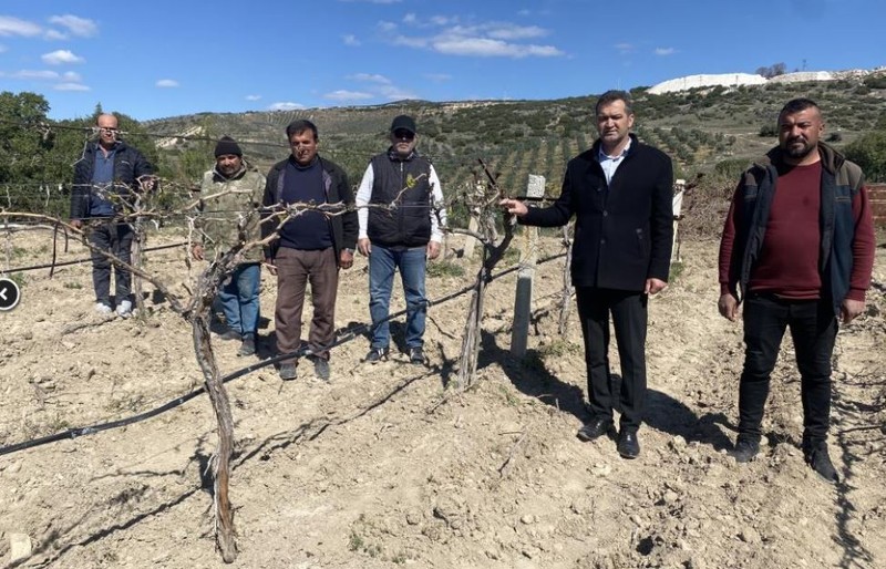 Manisa'da Türkiye'de korkulan felaket olay meydana geldi! 10 bin dekarlık bağına giden vatandaş, karşısında gördüğü manzara ile yıkıldı - Resim: 1