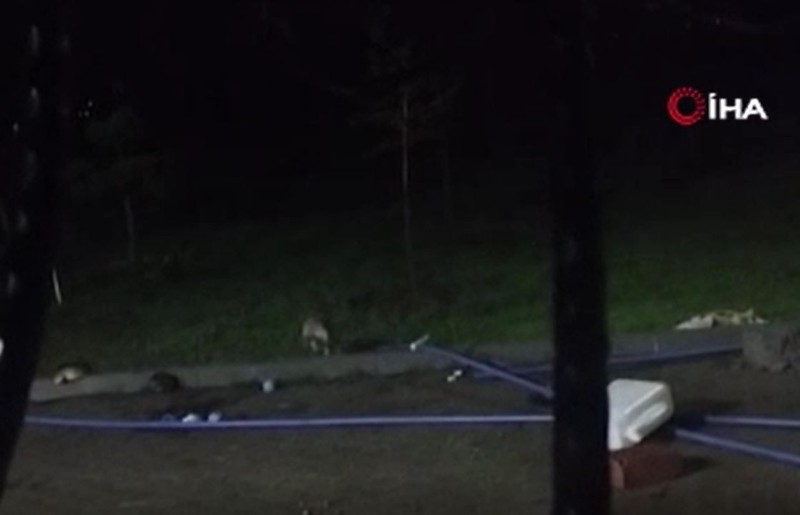 Bingöl-Diyarbakır kara yolunda bağ evinde karşısında bir anda belirdi. Tek 1 başına gelmişti etrafında kimse yoktu - Resim: 1