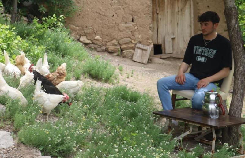 Sivas'ta 1 tanesi saatte ortalama 60 tane hayvanı yok ediyordu! Vatandaş bahçesine tam 20 tane birden bıraktı Erzurum, Erzincan, Gümüşhane, Tokat siz de dikkat - Resim: 3