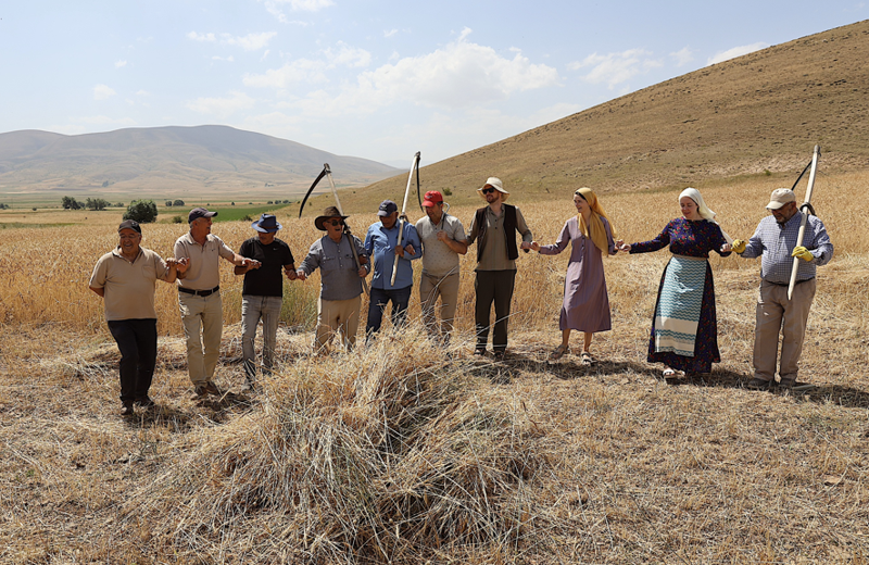 Bayburt’ta buğday tarlasında zaman geri sarıldı, geleneksel yöntemlerle hasat yapıldı - Resim: 2