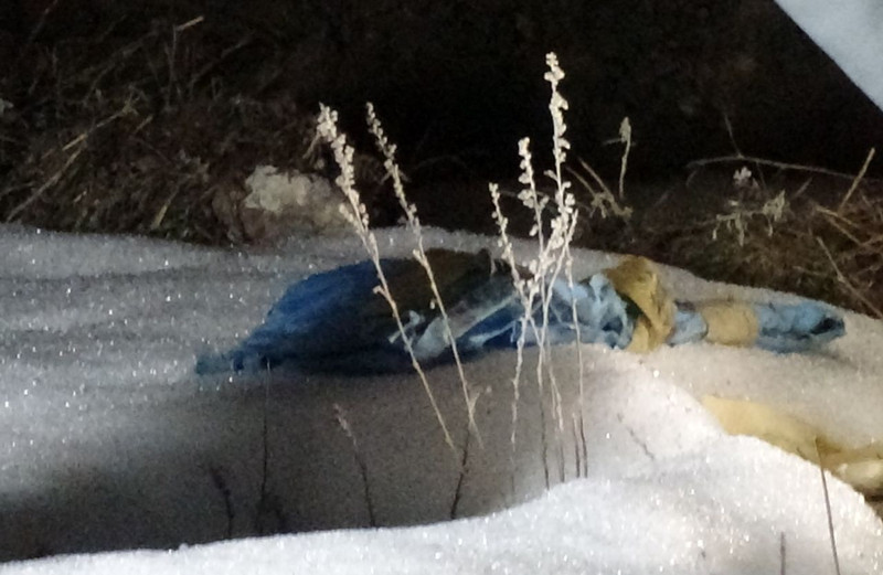 Mezarlıkta vicdanları sızlatan olay! Çöp poşetini açınca gördüklerine inanamadılar - Resim: 2