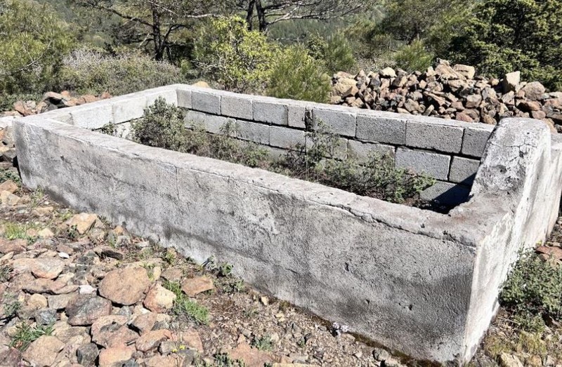 Hatay İskenderun'da doğada 1200 rakımlık mesafede tek 1 tane var... Etrafında 1 tane bile başka yok. 81 yıldır orada duruyor - Resim: 4