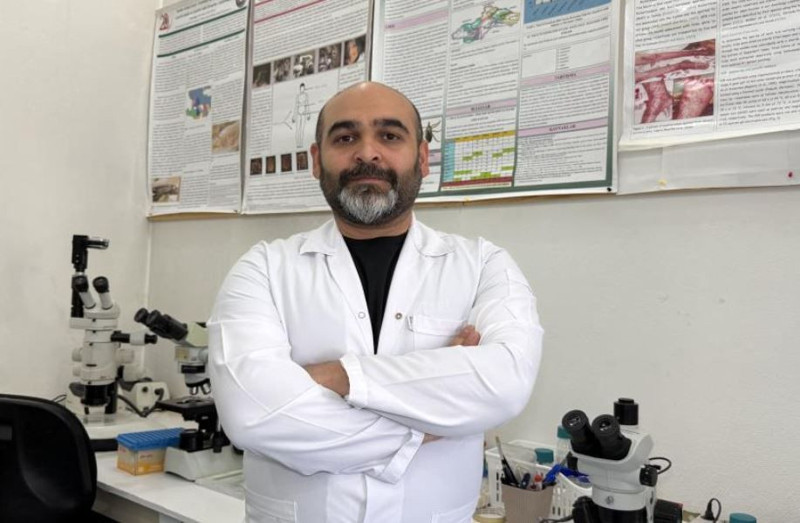 Avustralya'dan yola çıktı 100 adım 100 adım. Sivas, Çorum, Yozgat, Çankırı, Tokat, Kayseri, Erzurum ve Erzincan'a girdi! Çoğalmak için erkeğe ihtiyacı yok - Resim: 2