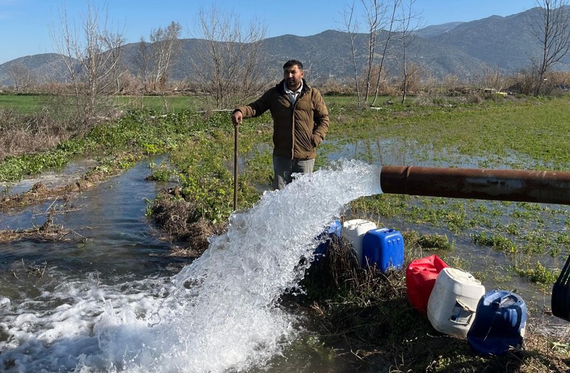 Aydın'da tarlalar susuz kaldı. Zor günler geçiren çiftçiler acil destek bekliyor - Resim: 3