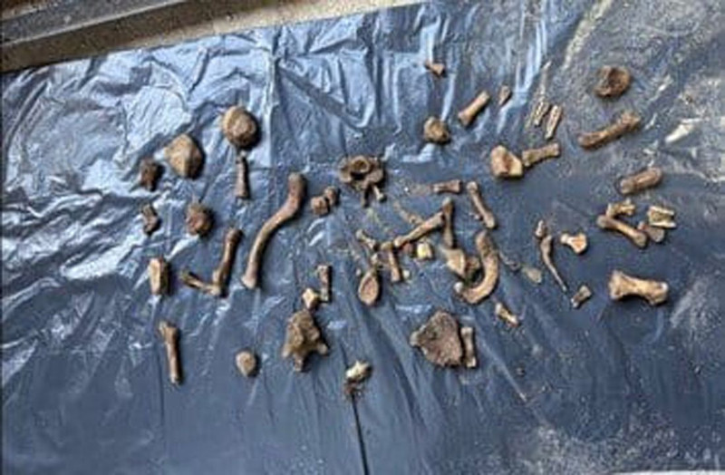 4 yıl sonra acı gerçek! Kayıp dosyası aydınlandı! Kemikleri bahçeden çıktı! - Resim: 5