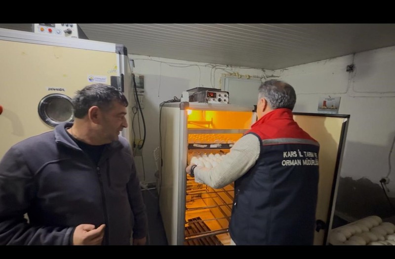 Macaristan'dan 1000'lercesi teker teker Kars'a getirildi. Yakında 1000'lercesi Kars'tan Türkiye'ye dağıtılacak - Resim: 3