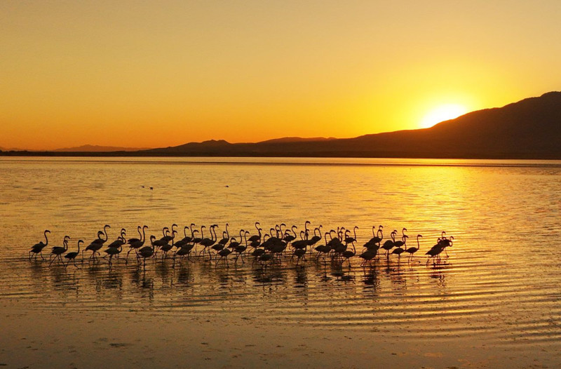 Bitlis’te gün batımında büyüleyen manzara! Hafızalara kazınacak eşsiz görüntülerin keyfini çıkardılar - Resim: 2