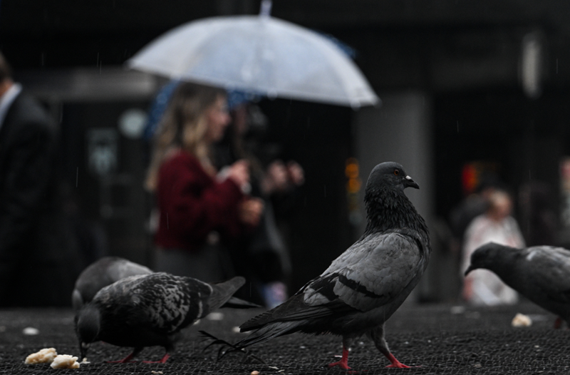 Meteoroloji'den o bölgeler için sel uyarısı yapıldı! Peki, İstanbul'a kar yağacak mı? İşte hava durumu detayları... - Resim: 8