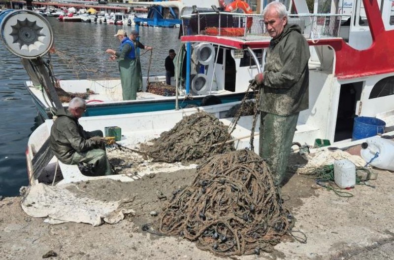 Marmara'da büyük kabus! Balıkçılar ağ attı 1 dakika içinden oltadan Türkiye için korkunç gerçek çıktı - Resim: 4