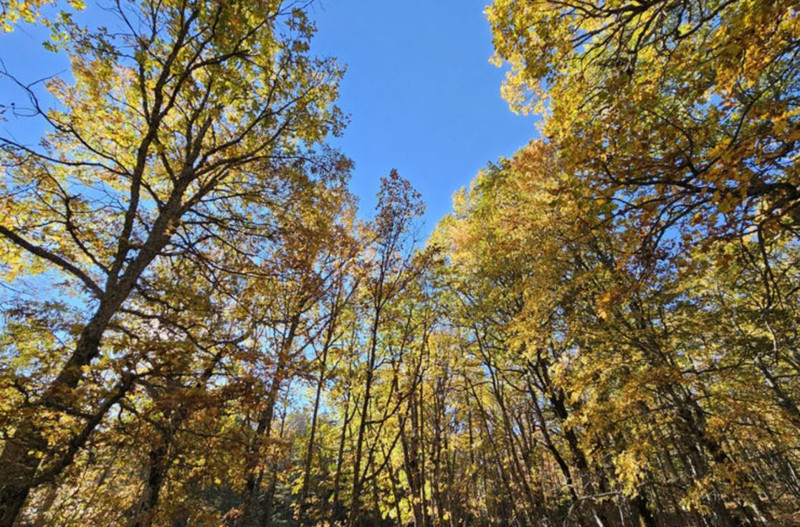 Türkiye'de buraya izinsiz sakın 1 adım bile atmayın! 557 bin 212 TL cezası var - Resim: 3