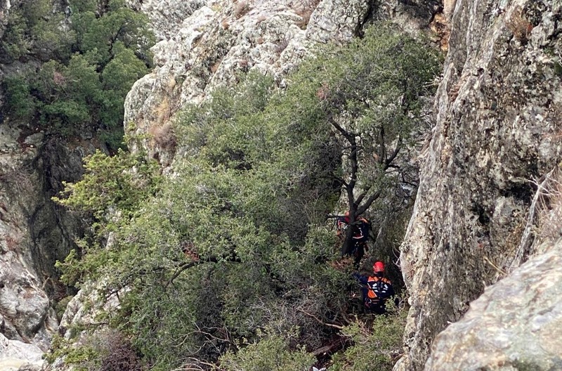 Mersin'de 6 gün boyunca dağda mahsur kalan keçi, 6 gün sonra kurtarılmaya gitti. Resmi ekipler o detayı görünce vazgeçti - Resim: 1