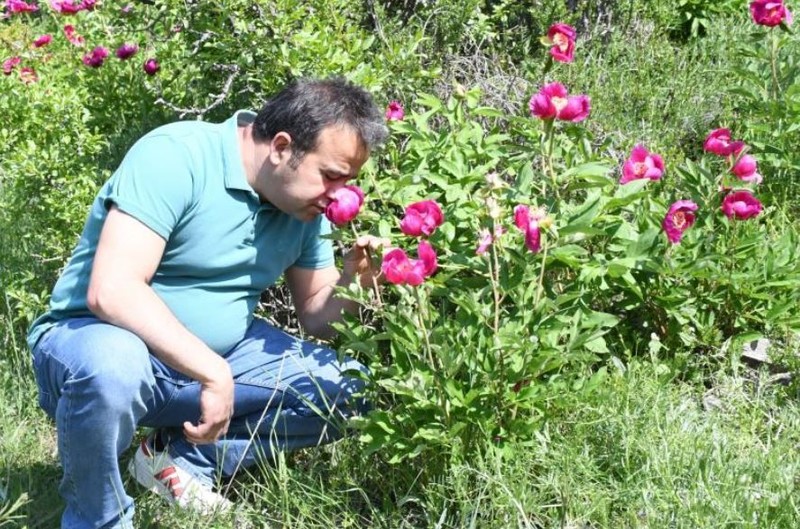 Yozgat'ta doğada sadece 15 gün boyunca kaldıktan sonra gidecek! Dokunanlar şimdiden  557.212'yi hazır tutsun - Resim: 1