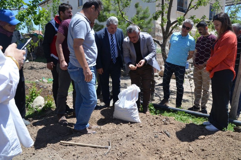 Niğde'de tam 33.000 tanesi köyde düzenlenen etkinlik ile dağıtıldı... 33.000 tanesinin hepsi de çok değerli - Resim: 3