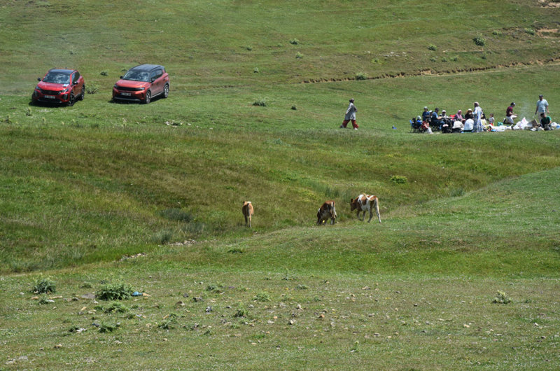 Gümüşhane’de 2 bin 140 rakımlı Taşköprü Yaylası, doğal ve tarihi yapısıyla ilgi çekiyor - Resim: 6