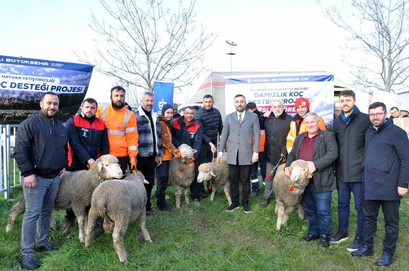 Kocaeli'de 145 baş hayvan, sahiplerine teslim edildi. 145 tanesi gidip 1000'lerceye dönecek - Resim: 2