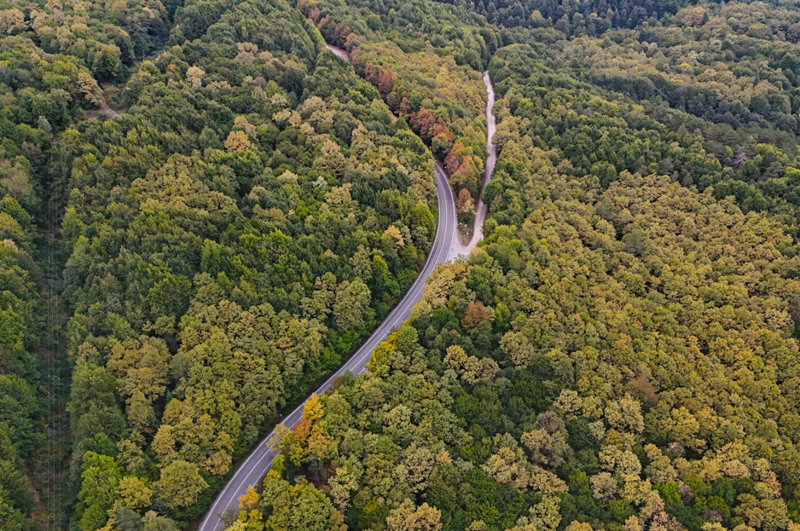 Bolu'da sonbahar renkleri ormanlara hakim oldu! Ortaya unutulmaz görüntüler çıktı - Resim: 1