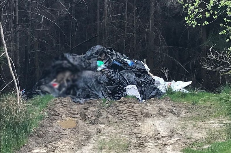 Dünya gece saat 4.30'da gelen bir haberle sinirden tir tir titredi... 40 tane koyun siyah poşetin içinde ölü olarak bulundu. Hayvan hakları savunucuları öfkeden kudurdu - Resim: 4