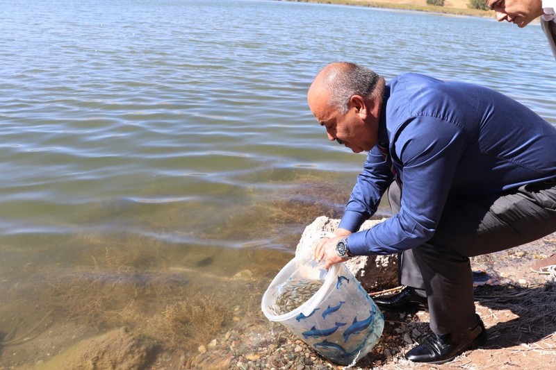 Sivas'ta 1 milyon tanesi saniyeler içerisinde Sivas'a bırakıldı... Saniyeler içinde tüm Sivas'ı kapladılar... Hepsi aynı anda hücum etti - Resim: 6