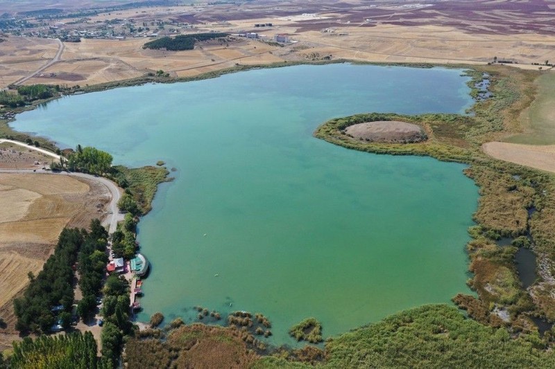 Sivas'ta 1 milyon tanesi saniyeler içerisinde Sivas'a bırakıldı... Saniyeler içinde tüm Sivas'ı kapladılar... Hepsi aynı anda hücum etti - Resim: 2