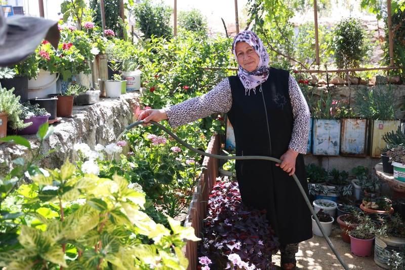 Hatay'da 6 yıl önce çiçeklere merak sardı. Şimdi evinin bahçesinde 500 türe ev sahipliği yapıyor - Resim: 2