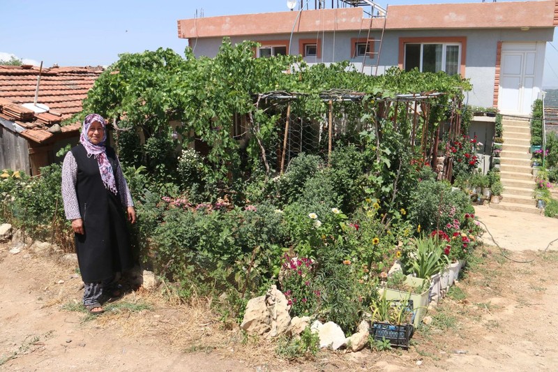 Hatay'da 6 yıl önce çiçeklere merak sardı. Şimdi evinin bahçesinde 500 türe ev sahipliği yapıyor - Resim: 3