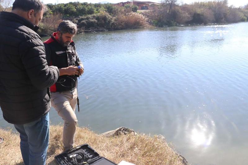 Adana'da Ceyhan Nehri'nde yüzlercesi kıyıya vurmuştu. İnceleme başlatıldı - Resim: 1