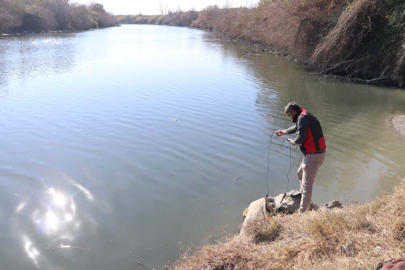 Adana'da Ceyhan Nehri'nde yüzlercesi kıyıya vurmuştu. İnceleme başlatıldı - Resim: 2