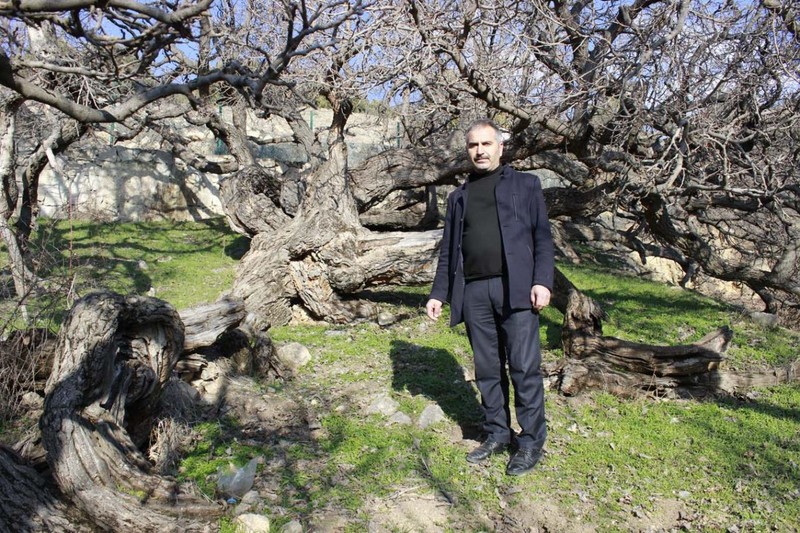 Yozgat'ta 2 bin 600 yıldan bu yana durmadan aynı işlemi yapıyor. Yanına gidenler iyice yaklaşınca şaşkınlığını gizleyemiyor - Resim: 1