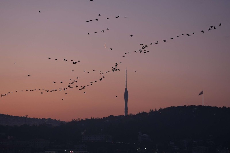 İstanbul’un rüya gibi uyanışı! Bu fotoğrafları görenler mest oluyor: İşte nefes kesen o kareler - Resim: 3