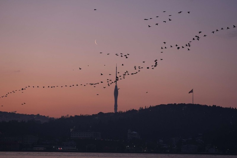 İstanbul’un rüya gibi uyanışı! Bu fotoğrafları görenler mest oluyor: İşte nefes kesen o kareler - Resim: 8