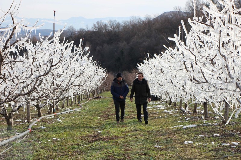 Amasya'da 400 tane ağacını teker teker dondurdu... Her bir dalın üzerinde koca koca buz sarkıtları oluştu. Manzarayı görenler şaştı kaldı - Resim: 5