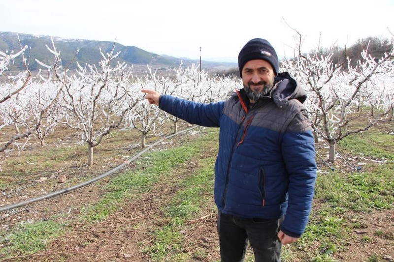 Amasya'da 400 tane ağacını teker teker dondurdu... Her bir dalın üzerinde koca koca buz sarkıtları oluştu. Manzarayı görenler şaştı kaldı - Resim: 1