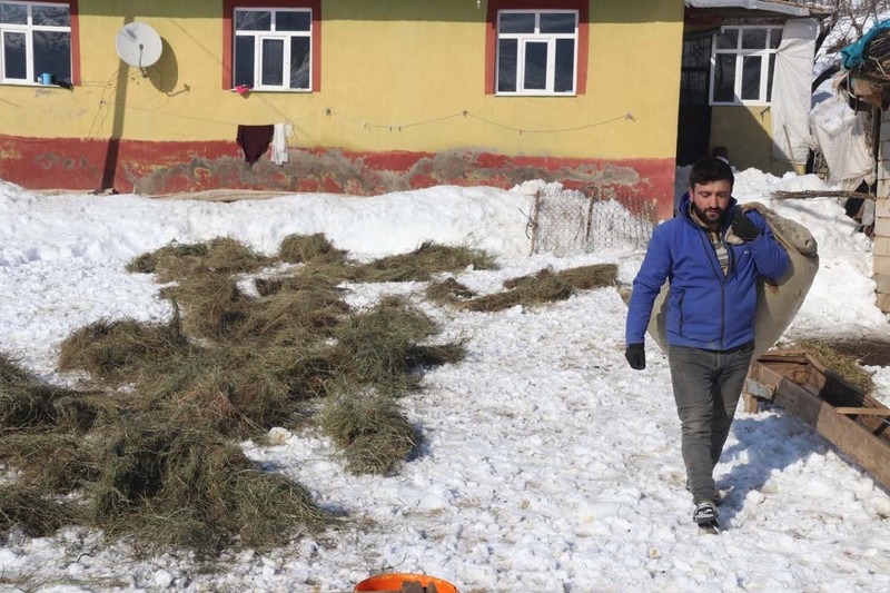 Türkiye'nin en fazla kar yağan ili Bitlis'te besicilerin zorlu mesaisi! Her gün yüzlerce koyunu beslemek için bunu yapmak zorundalar - Resim: 3