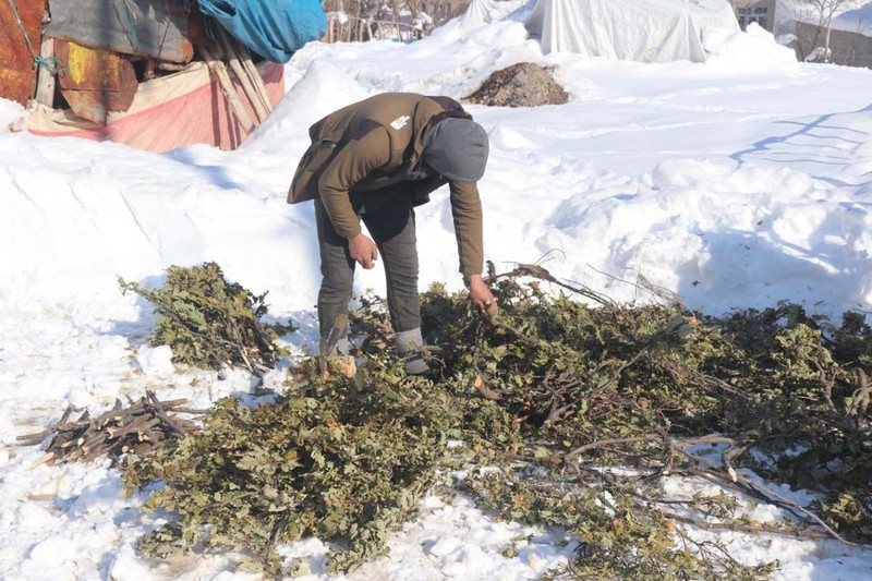 Türkiye'nin en fazla kar yağan ili Bitlis'te besicilerin zorlu mesaisi! Her gün yüzlerce koyunu beslemek için bunu yapmak zorundalar - Resim: 4