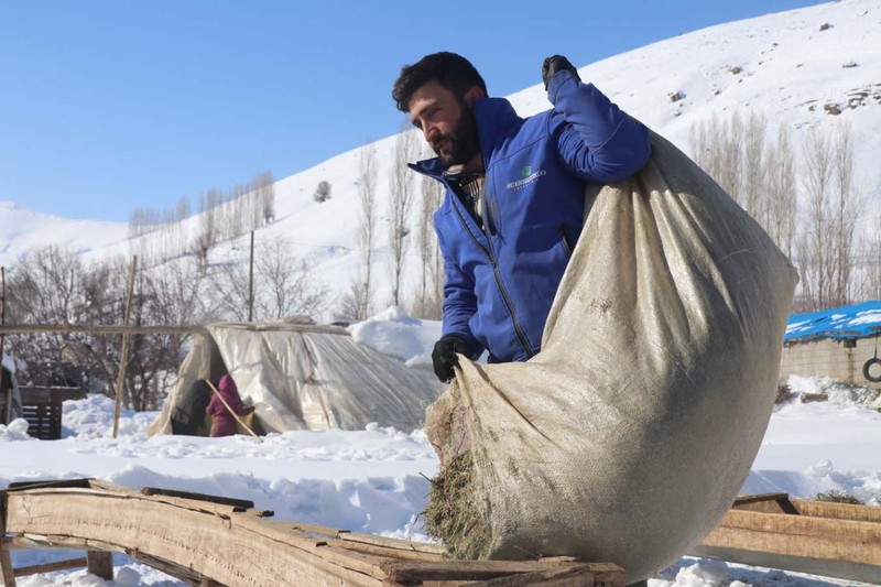 Türkiye'nin en fazla kar yağan ili Bitlis'te besicilerin zorlu mesaisi! Her gün yüzlerce koyunu beslemek için bunu yapmak zorundalar - Resim: 5