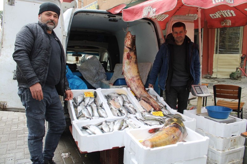 Aydın'da sezonu kapatan balıkçılar korkunç gerçeği açıkladı. Hem sayıları giderek azalıyor, hem de boyutları küçülüyor. Nedeni de belli - Resim: 5