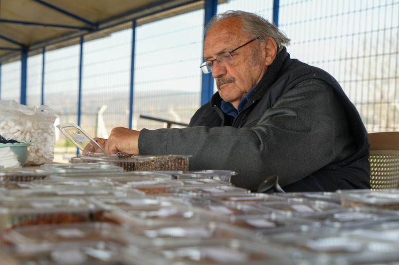 Manisa'da yıllardır milyonlarcasını peçetelere sarıp özenle tek tek hazırlıyor. Geliştirdiği yöntem sayesinde her adımda yeni bir yaşam filizleniyor - Resim: 11