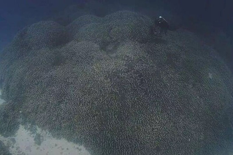 300 yıldan bu yana doğada aynı yerde duruyor... 34 metre genişliğindeki dev yaratık, dünya dışından bile görülebiliyor - Resim: 1