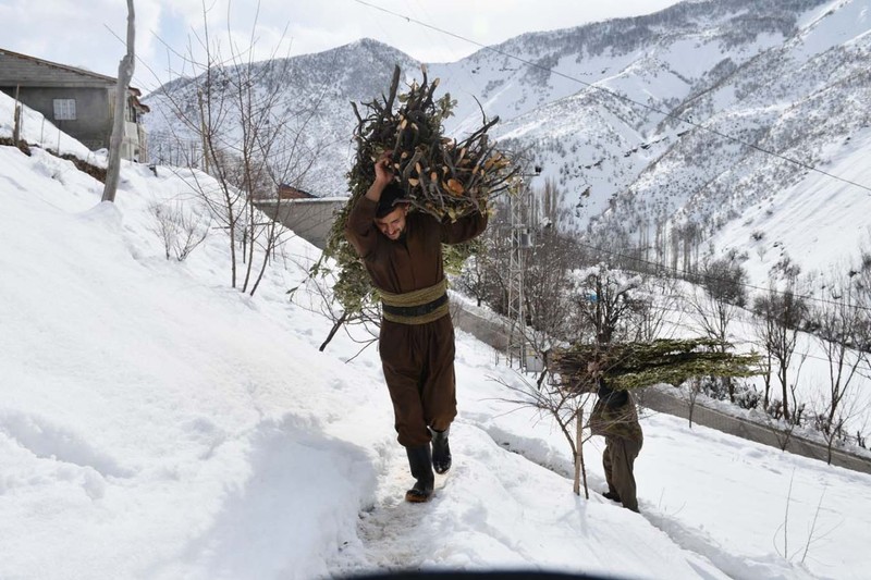 Şırnak'ta bunu yapmasalar 1000'lerce koyun aç kalacaktı... Kötü haber verildi... Kabus yeniden geriye dönüyor - Resim: 2