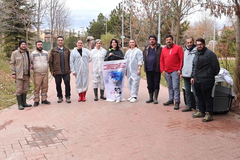 Antalya'da araştırmacılar, Türkiye'de sadece 100 tane kalan hayvanın yavrusunu korkunç halde buldu. Tedavi için acilen Antalya'dan Eskişehir'e getirildi - Resim: 1