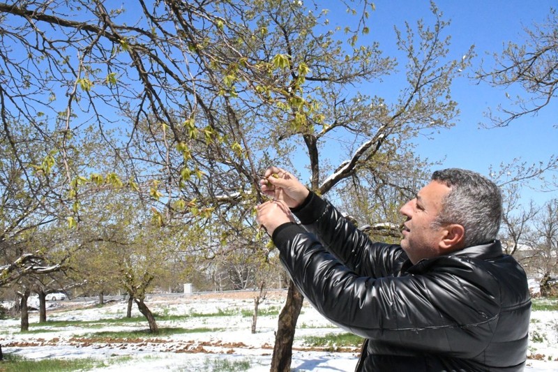 Malatya'dan Türkiye yüzde 85 korkunç bir haber verildi. Milyonlarcasını teker teker etkiledi. Malatya'dan doğada felaket haberi - Resim: 1