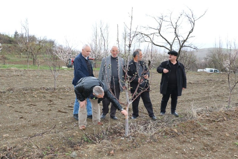 Erzincan'da nisanda bastıran sürpriz kar korkunç bir olaya neden oldu. 10'larca hayvan korkunç bir hareket yaptı. Türkiye için hayra alamet değil - Resim: 1