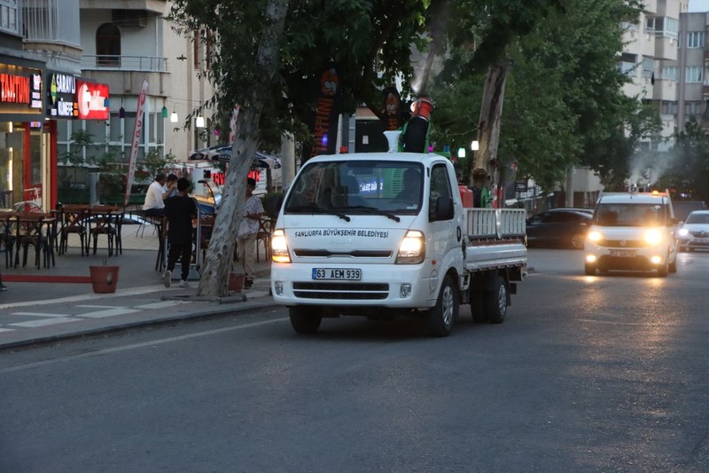Şanlıurfa'da yakında 200.000'lercesi her yerden çıkmaya başlayacak... Doğadaki büyük istilaya karşı ekipler harekete geçti - Resim: 6