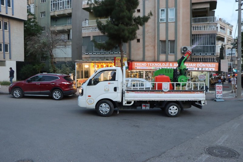 Şanlıurfa'da yakında 200.000'lercesi her yerden çıkmaya başlayacak... Doğadaki büyük istilaya karşı ekipler harekete geçti - Resim: 5