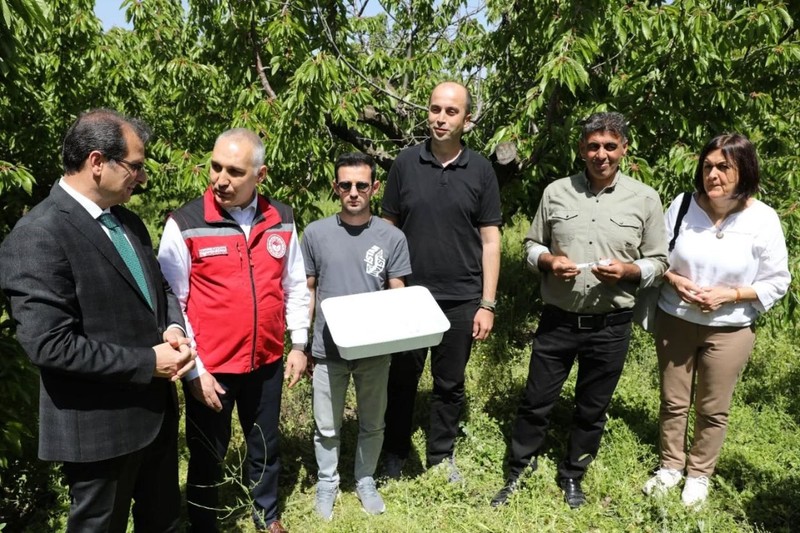 Manisa’da 3000 tanesi doğaya salındı! 3000 tanesinin tek 1 görevi var 300.000 tane ile çoğalan hayvana kafa tutacak - Resim: 5